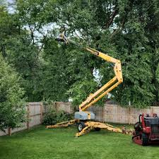 Best Hazardous Tree Removal  in Leominster, MA